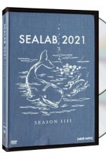 Watch Sealab 2021 Niter